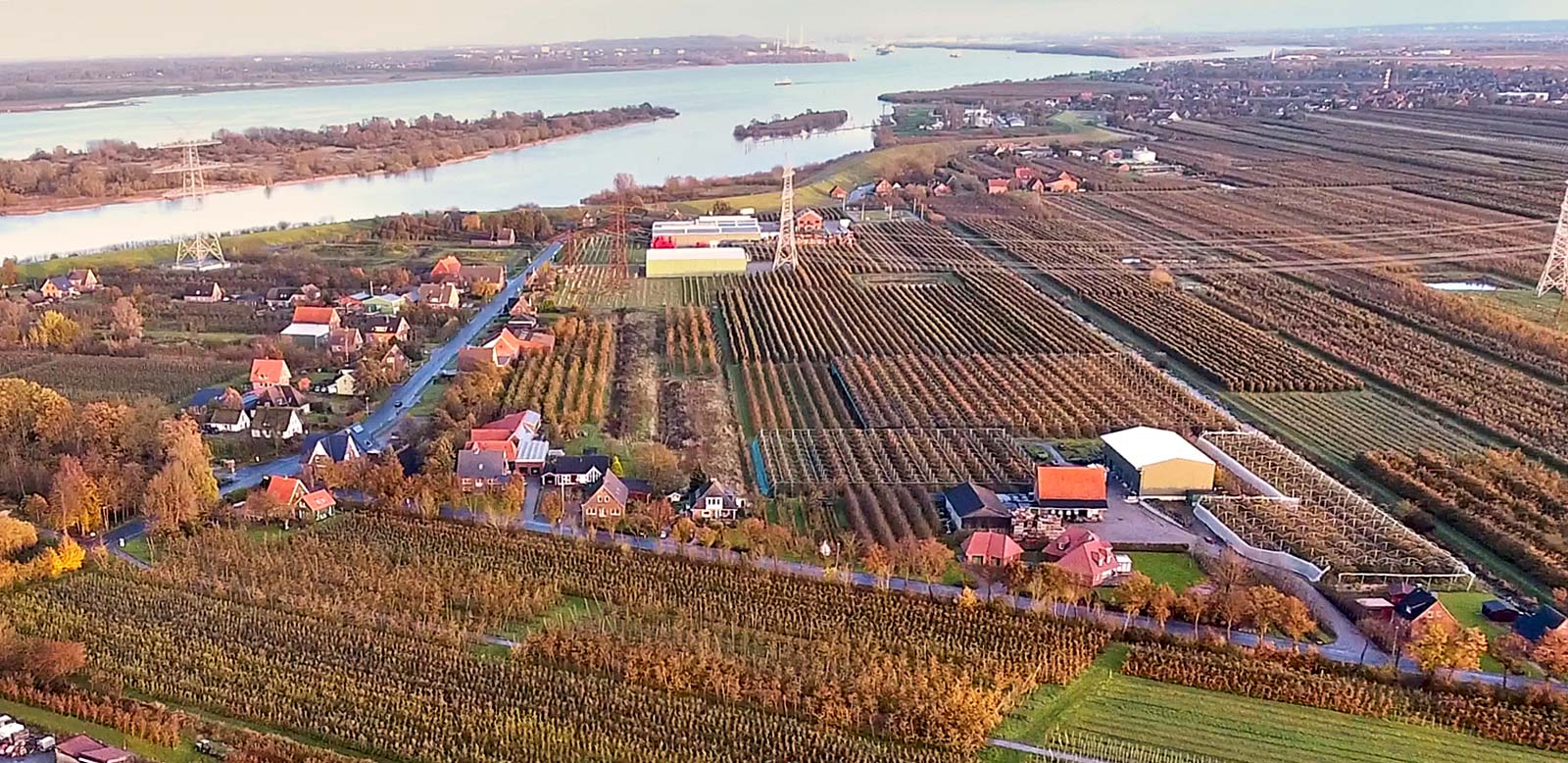 Foto: Obstanbaugebiet an der Elbe